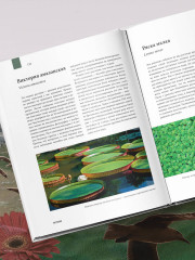 Атлас Земли. Животные, растения, грибы, бактерии, минералы и другие сокровища нашей планеты - Фото 3