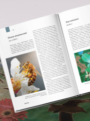 Атлас Земли. Животные, растения, грибы, бактерии, минералы и другие сокровища нашей планеты - Фото 4