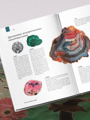 Атлас Земли. Животные, растения, грибы, бактерии, минералы и другие сокровища нашей планеты - Фото 6