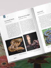 Атлас Земли. Животные, растения, грибы, бактерии, минералы и другие сокровища нашей планеты - Фото 7