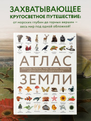 Атлас Земли. Животные, растения, грибы, бактерии, минералы и другие сокровища нашей планеты - Фото 8