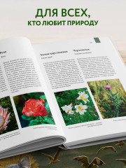 Атлас Земли. Животные, растения, грибы, бактерии, минералы и другие сокровища нашей планеты - Фото 10