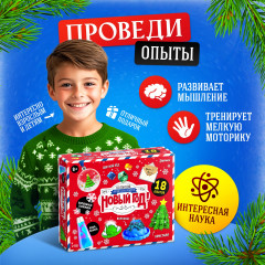 Набор для опытов «Новый год!» - Фото 4