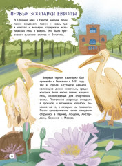 Зоопарк. Звериная история - Фото 17