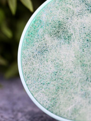 Контейнер для контактных линз «Shine» - Фото 1