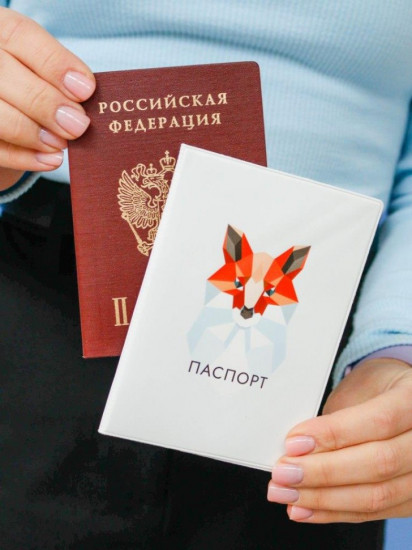 Обложка для паспорта «Graphic fox»