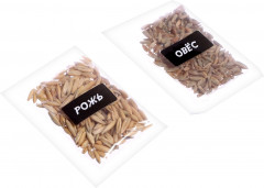 Набор для опытов «Чудеса света: Чичен-Ица» - Фото 3