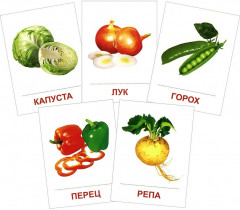 Демонстрационные картинки супер овощи. 16 раздаточных карточек с текстом - Фото 2