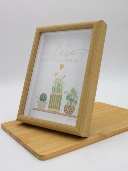 Фоторамка «Indoor plants»
