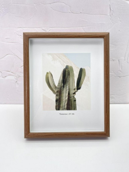 Фоторамка «Indoor plants»