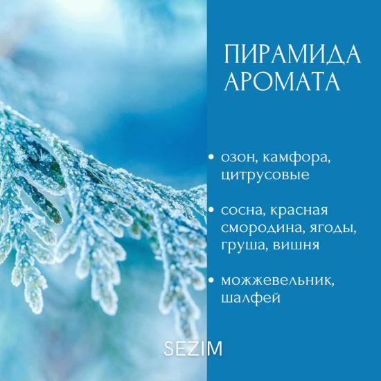 Новогоднее аромасаше