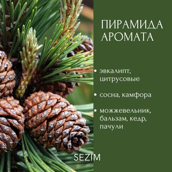 Новогоднее аромасаше