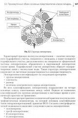 Проведение биохимических исследований - Фото 8
