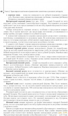 Ортопедическая стоматология. Технология зубных и челюстных протезов - Фото 10