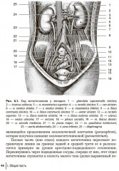 Влагалищный доступ в гинекологии - Фото 7