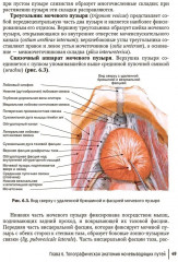 Влагалищный доступ в гинекологии - Фото 12