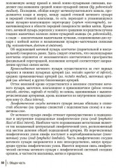 Влагалищный доступ в гинекологии - Фото 13