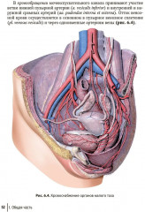 Влагалищный доступ в гинекологии - Фото 15