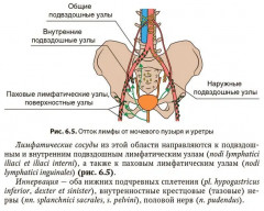 Влагалищный доступ в гинекологии - Фото 16