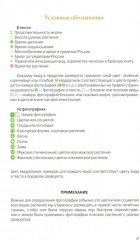 Травянистые растения средней полосы России: Фотоопределитель - Фото 1