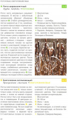 Травянистые растения средней полосы России: Фотоопределитель - Фото 2