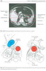 Эндокринология - Фото 9