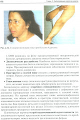 Эндокринология - Фото 11