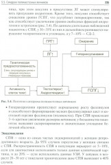 Эндокринология - Фото 12