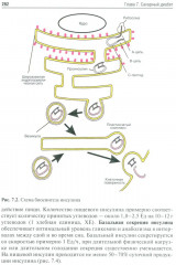 Эндокринология - Фото 13