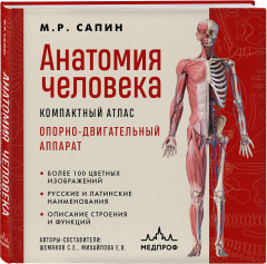 Анатомия человека. Компактный атлас. Опорно-двигательный аппарат - Фото 1