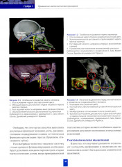 Высота окклюзии в протезировании и ортогнатологии. Клиническое руководство по цифровой стоматологии. Комплект из 2 книг - Фото 5