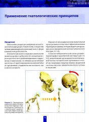 Высота окклюзии в протезировании и ортогнатологии. Клиническое руководство по цифровой стоматологии. Комплект из 2 книг - Фото 6