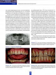 Высота окклюзии в протезировании и ортогнатологии. Клиническое руководство по цифровой стоматологии. Комплект из 2 книг - Фото 9