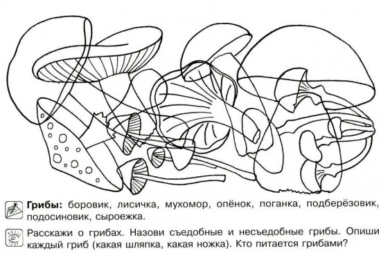 Всё, что должен знать дошкольник при поступлении в 1 класс. Комплект из 4 книг