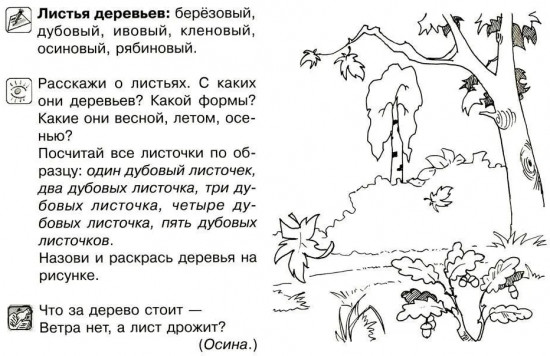 Всё, что должен знать дошкольник при поступлении в 1 класс. Комплект из 4 книг