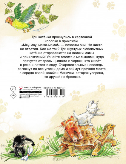 Курочкин котёнок