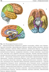 Детская неврология и нейрохирургия. Комплект из 2 книг - Фото 8