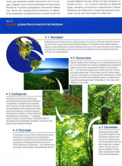 Биология Campbell. Комплект из 2 книг - Фото 9