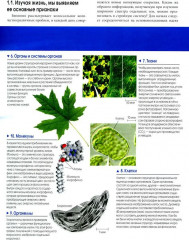 Биология Campbell. Комплект из 2 книг - Фото 10