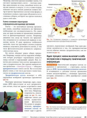 Биология Campbell. Комплект из 2 книг - Фото 13