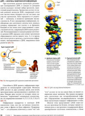 Биология Campbell. Комплект из 2 книг - Фото 14