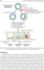 Внутренние болезни. Комплект из 2 книг - Фото 5