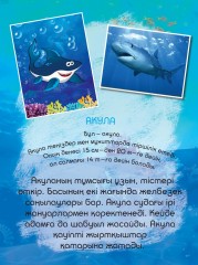Теңіз жануарлары - Фото 1