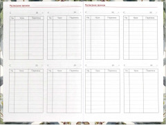 Книга записная учителя «Эвкалипт» - Фото 4