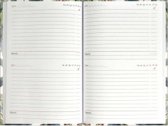 Книга записная учителя «Эвкалипт» - Фото 12