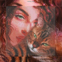 Мозаика алмазная «Зеркало души» - Фото 2