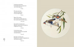 Мир в капле дождя. Осень. Зима. Хайку на все времена - Фото 4