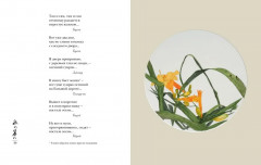 Мир в капле дождя. Осень. Зима. Хайку на все времена - Фото 6