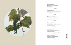 Мир в капле дождя. Осень. Зима. Хайку на все времена - Фото 7