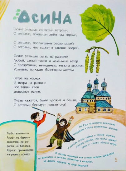 Деревья наших лесов